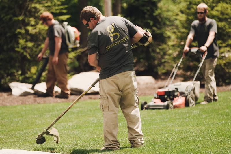 Service feature image 4