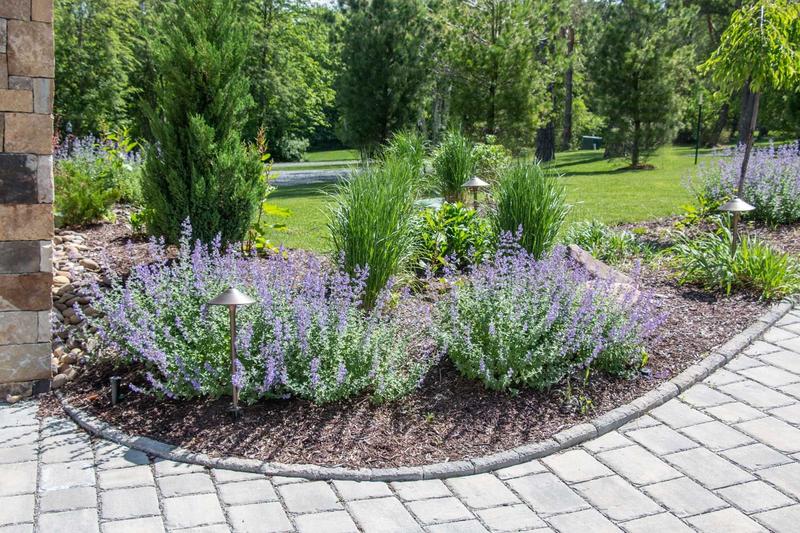 Service feature image 2