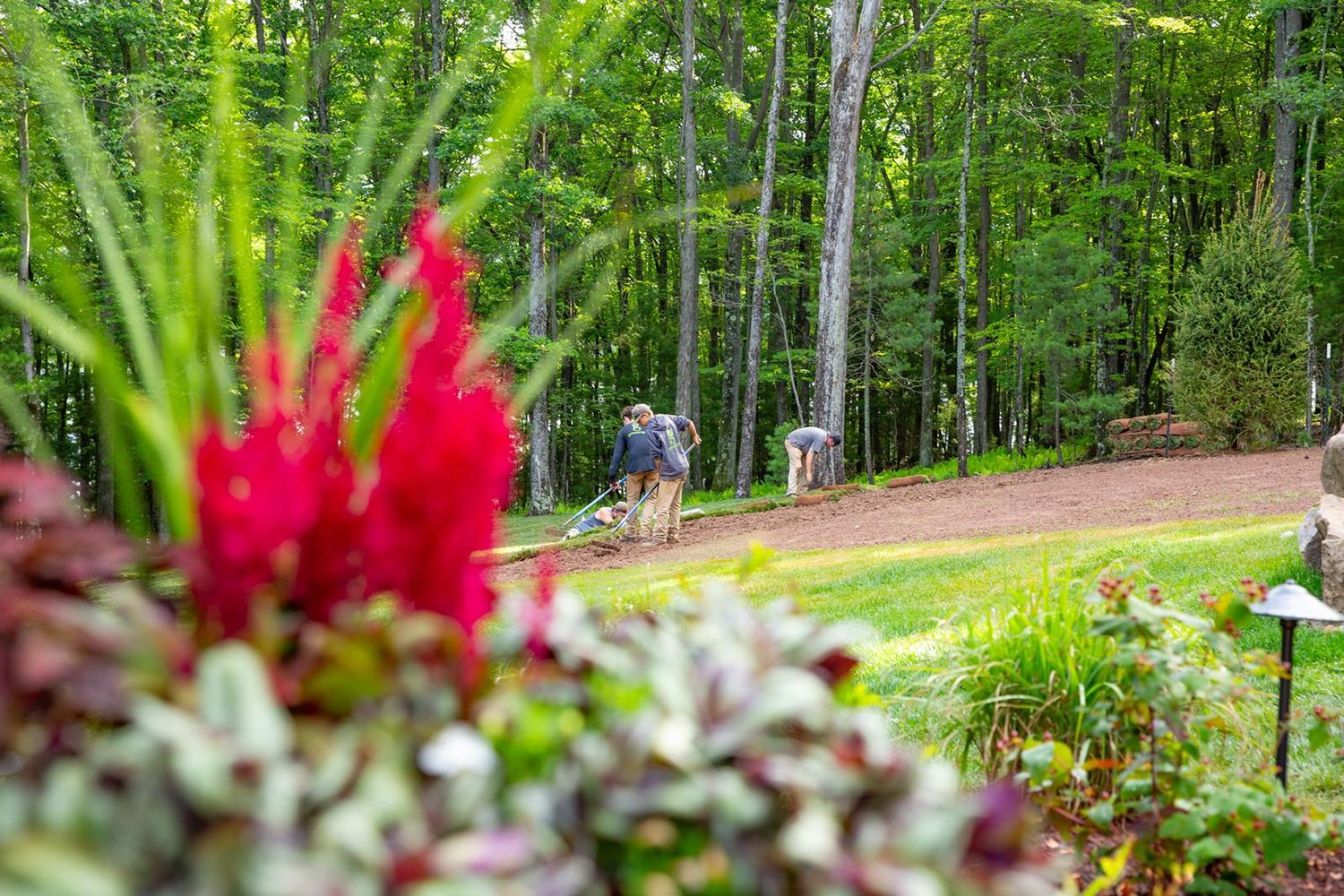 Greenscapes service page hero image