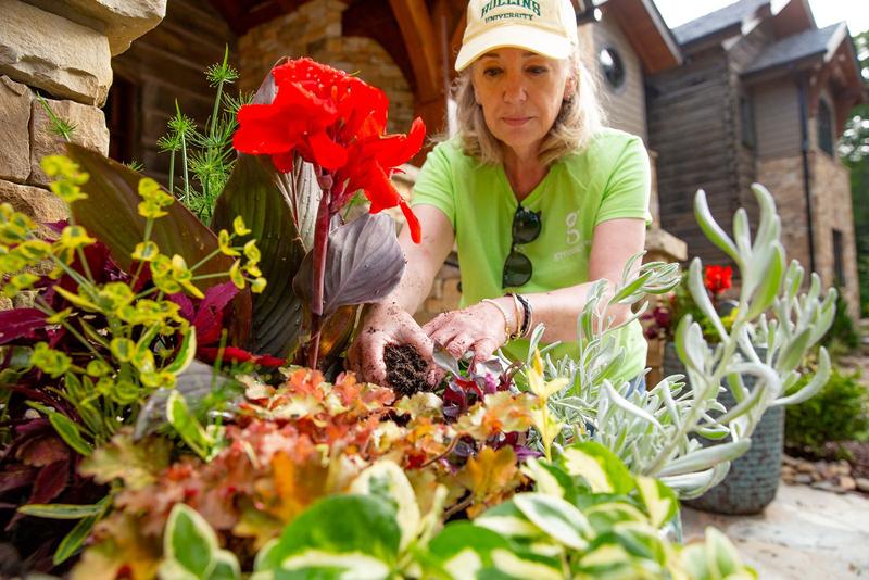 Property Maintenance - Professional landscaping service